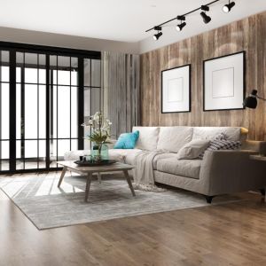 Ipsum quia dolor sit amet